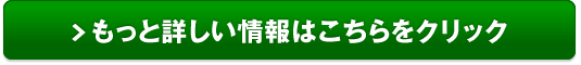 日産シルフィ販売サイトへ